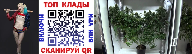 Где купить наркоту Владикавказ ГАШИШ  АМФ  Меф мяу мяу  Марихуана  A PVP 