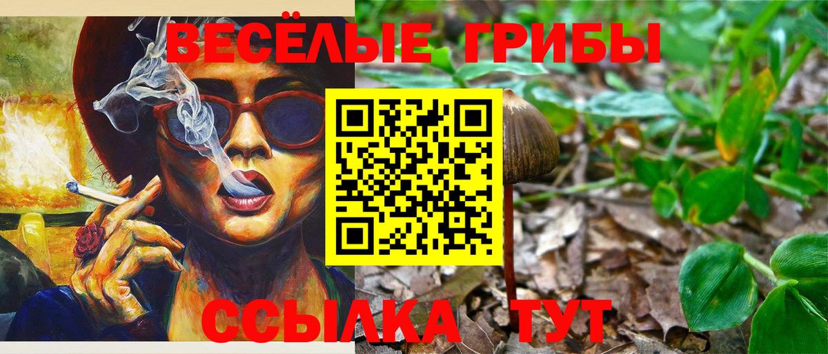 Псилоцибиновые грибы GOLDEN TEACHER  Псилоцибиновые грибы GOLDEN TEACHER  Вход с VPN  Владикавказ 