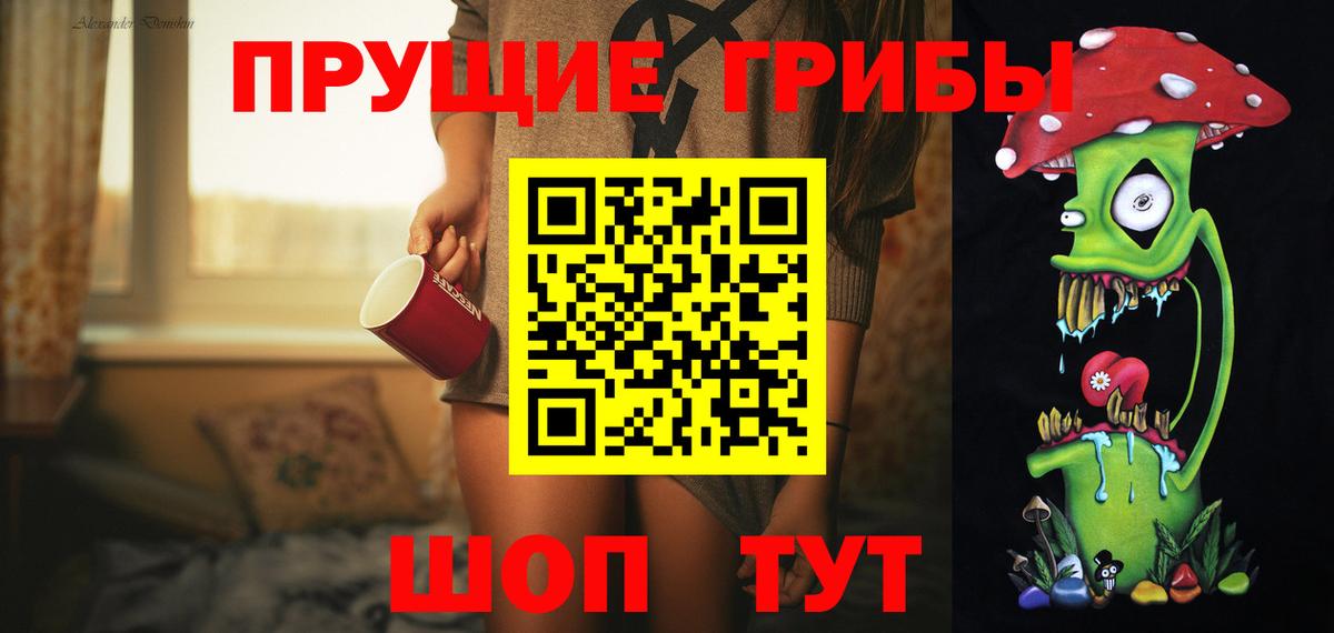 Псилоцибиновые грибы Psilocybe Владикавказ